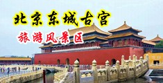 欧美色淫插插中国北京-东城古宫旅游风景区